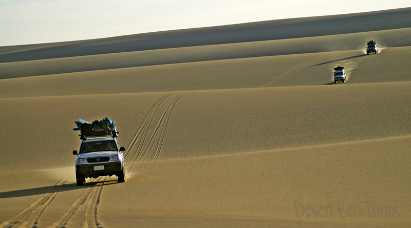 Jeep tours to the Western Desert